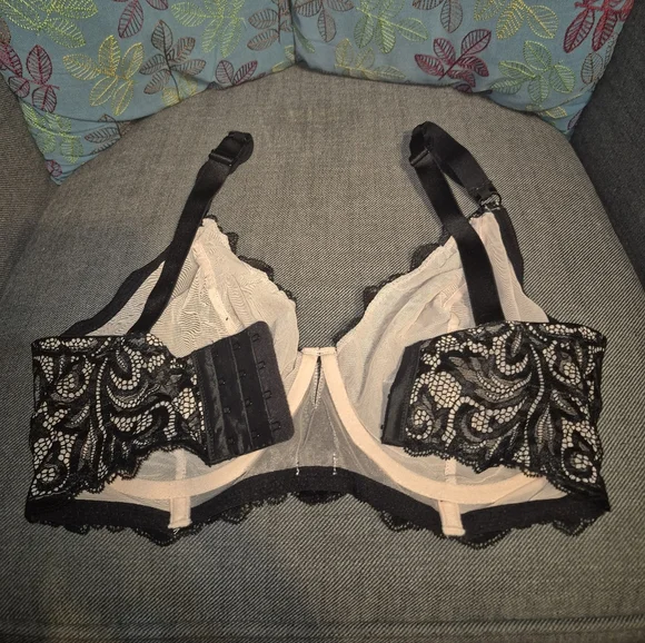 Paramour Bra - Picture 2 of 6